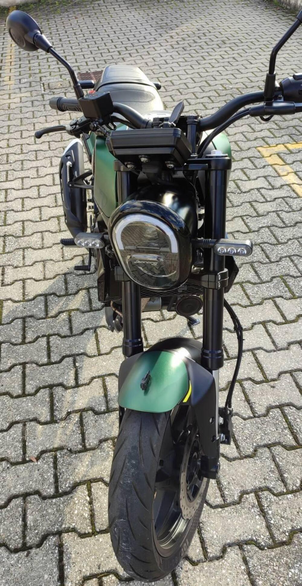Benelli Leoncino 125 (2022 - 25) (2)