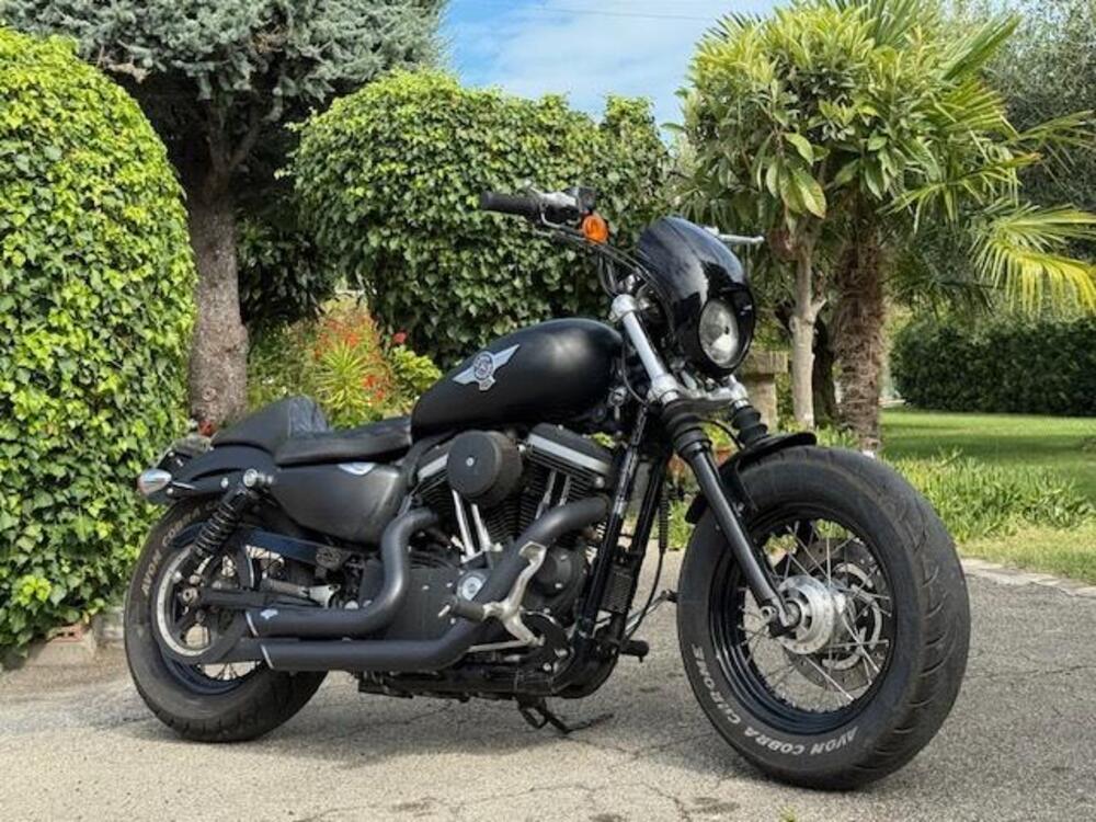 Harley-Davidson 1200 Forty-Eight (2010 - 15) (6)