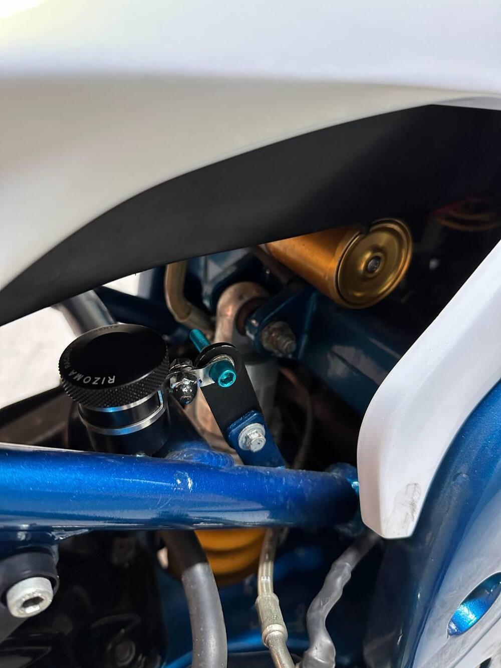 Triumph Speed Triple 1050 (2005 - 11) (6)