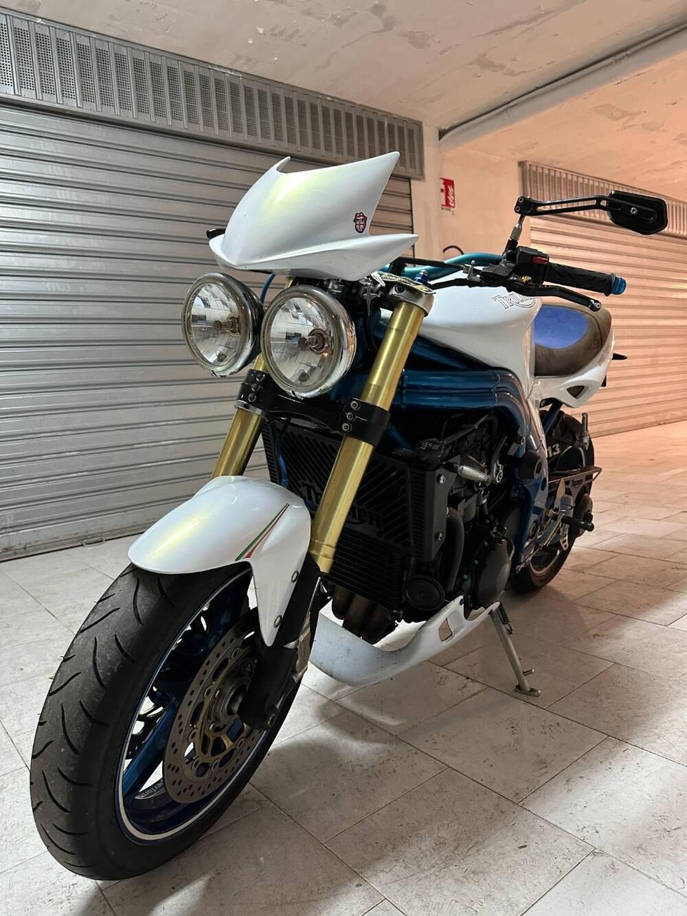 Triumph Speed Triple 1050 (2005 - 11) (14)