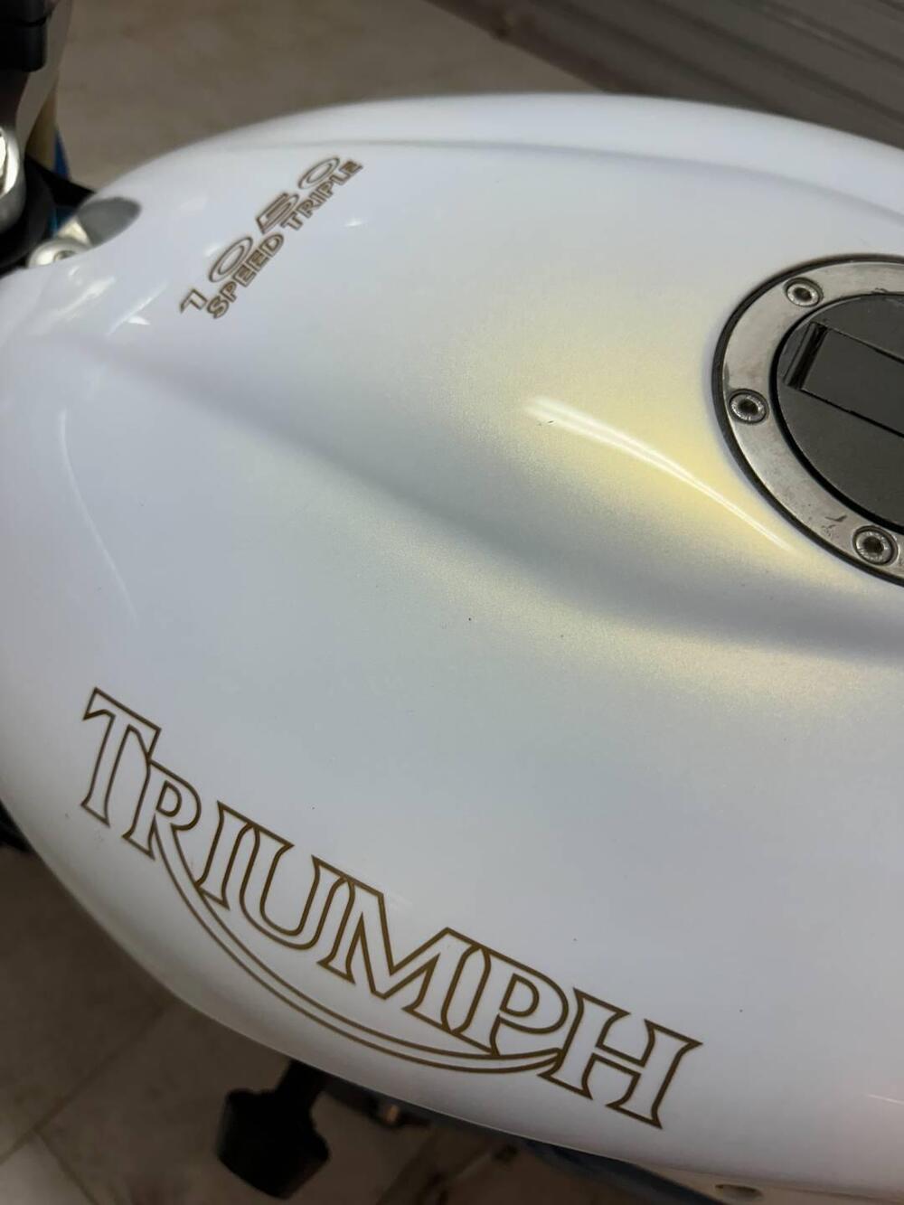 Triumph Speed Triple 1050 (2005 - 11) (12)