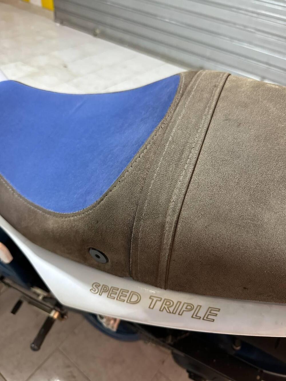 Triumph Speed Triple 1050 (2005 - 11) (13)