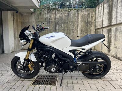 Triumph Speed Triple 1050 (2005 - 11) usata
