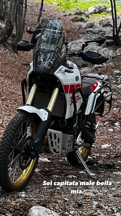 Yamaha T&eacute;n&eacute;r&eacute; 700 Rally Edition (2022 - 24) usata