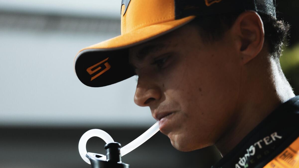 F1, Norris punge la Red Bull dopo le qualifiche di Singapore: "Si lamentano sempre"