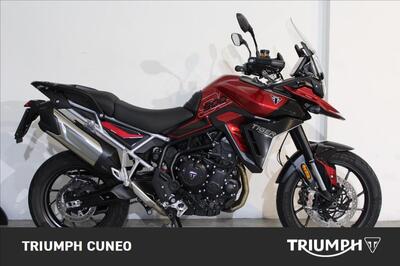 Triumph Tiger 900 GT Pro (2024 - 25) usata