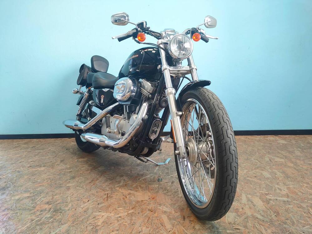 Harley-Davidson 883 Custom (2006 - 07) - XL 883C (2)
