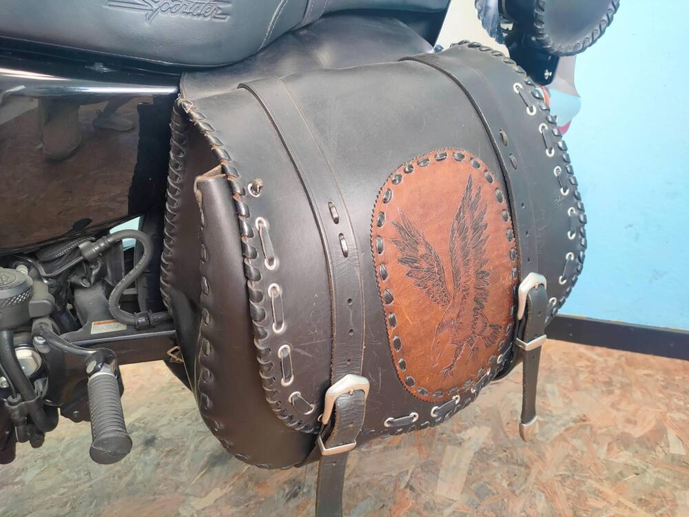 Harley-Davidson 883 Custom (2006 - 07) - XL 883C (14)