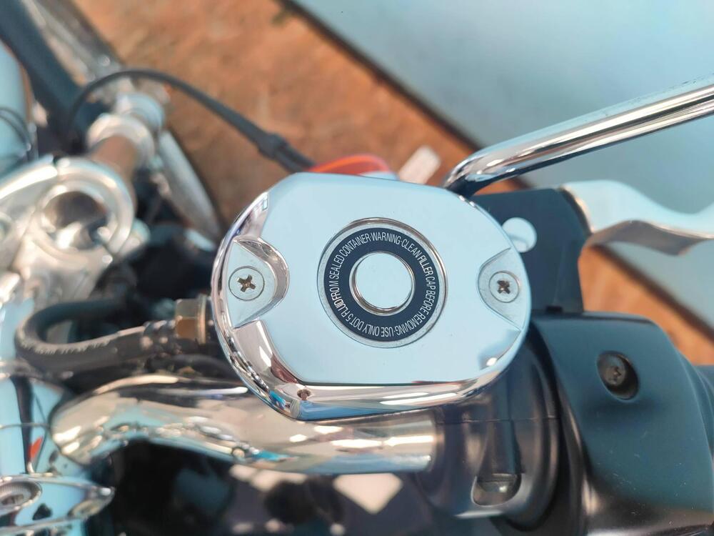 Harley-Davidson 883 Custom (2006 - 07) - XL 883C (16)