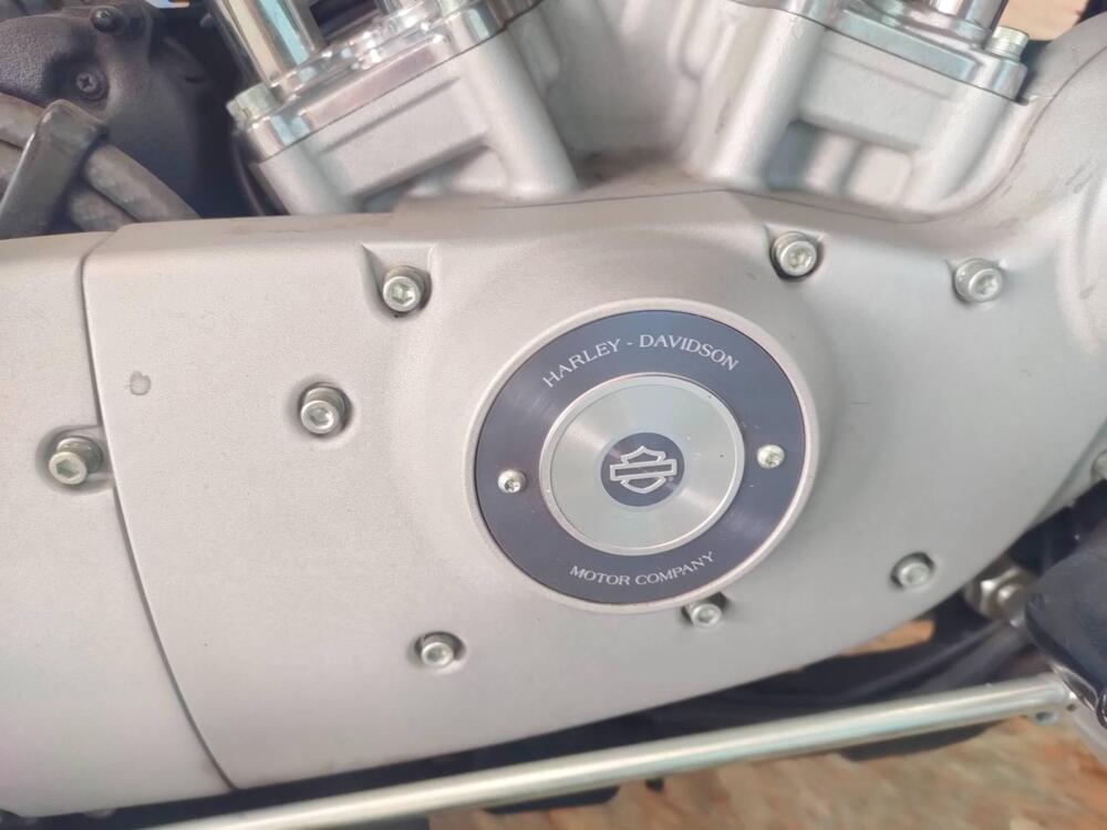 Harley-Davidson 883 Custom (2006 - 07) - XL 883C (20)