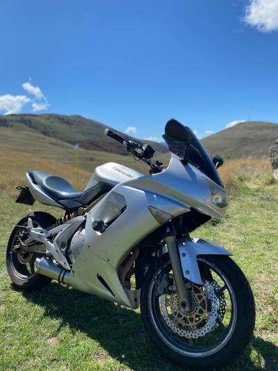 Kawasaki ER-6F (2006 - 08) usata
