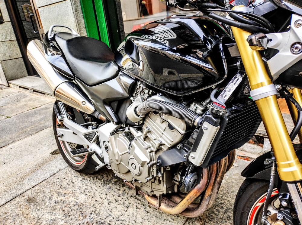 Honda Hornet 600 (2005 - 06) (8)