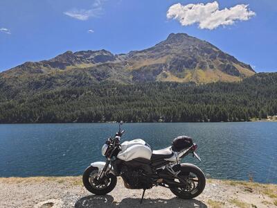 Yamaha FZ1 (2006 - 16) usata