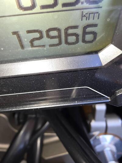 Yamaha Tracer 900 ABS (2017 - 18) usata