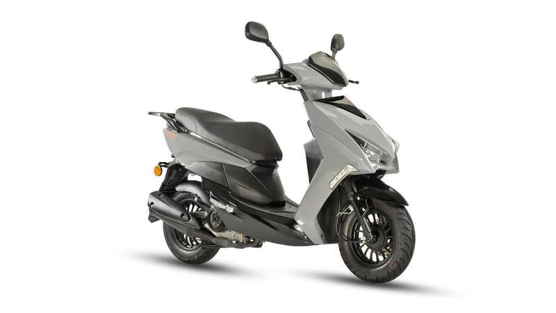 TNT Dixon 50 Dixon 50 10" (2025)