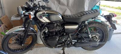 Kawasaki W 800 (2010 - 17) usata