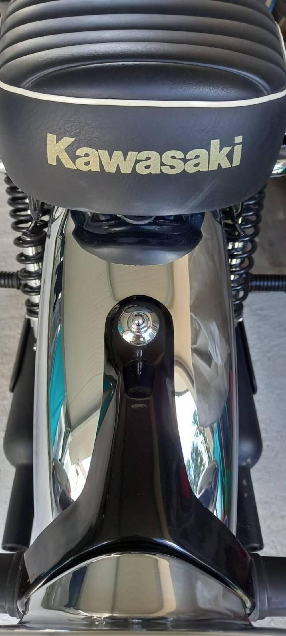 Kawasaki W 800 (2010 - 17) (7)