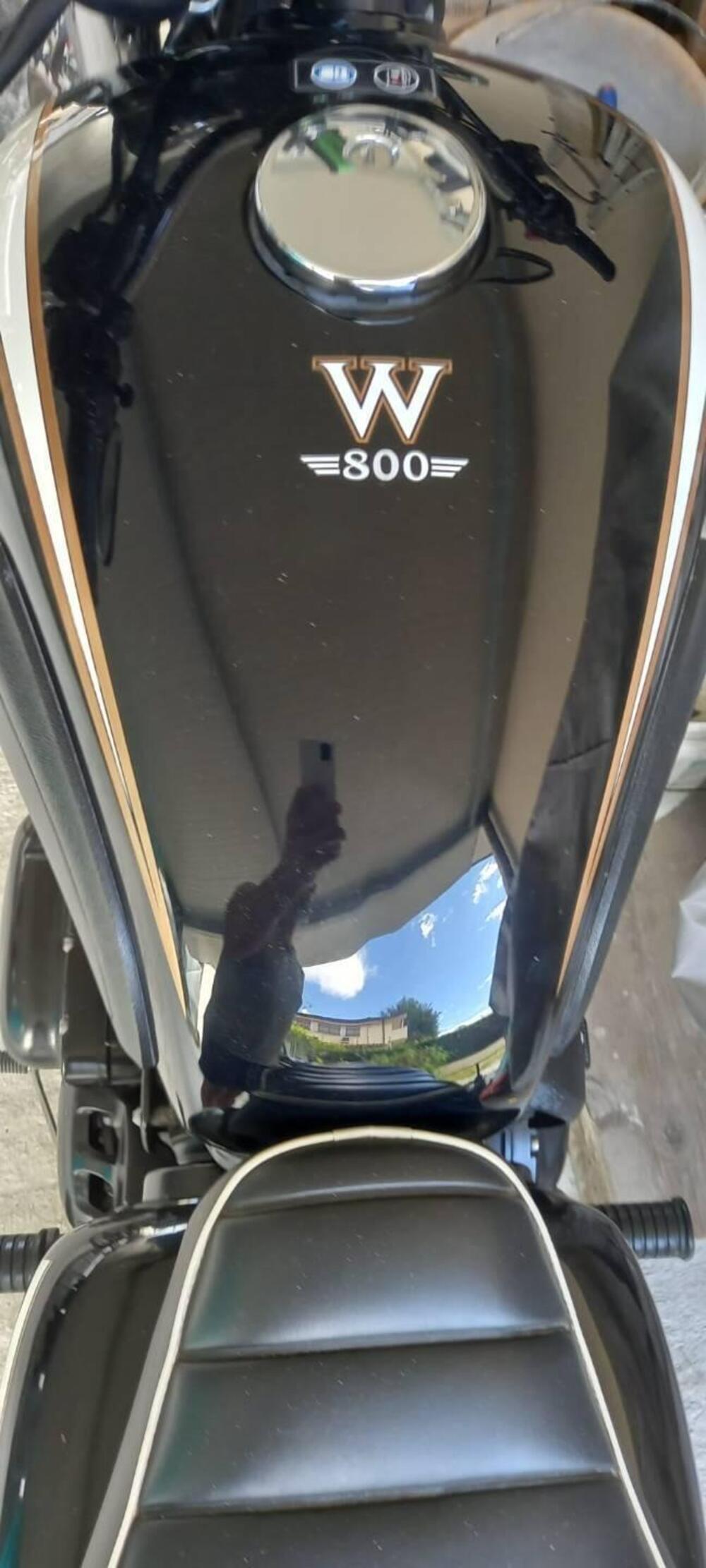 Kawasaki W 800 (2010 - 17) (9)