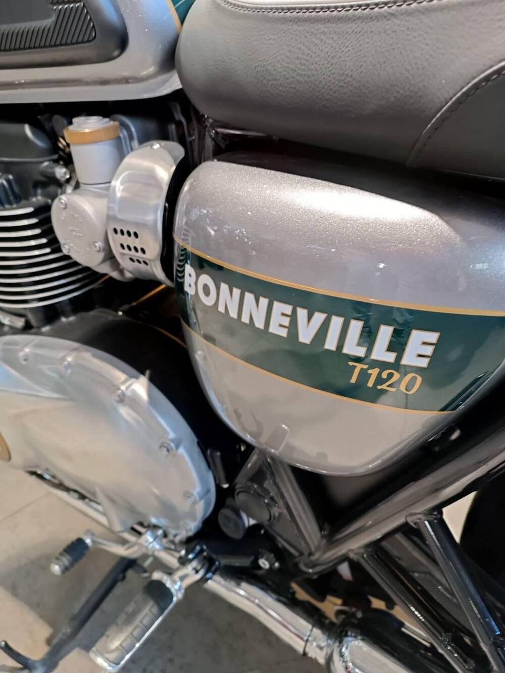Triumph Bonneville T120 Gold Line Edition (2022 - 23) (7)