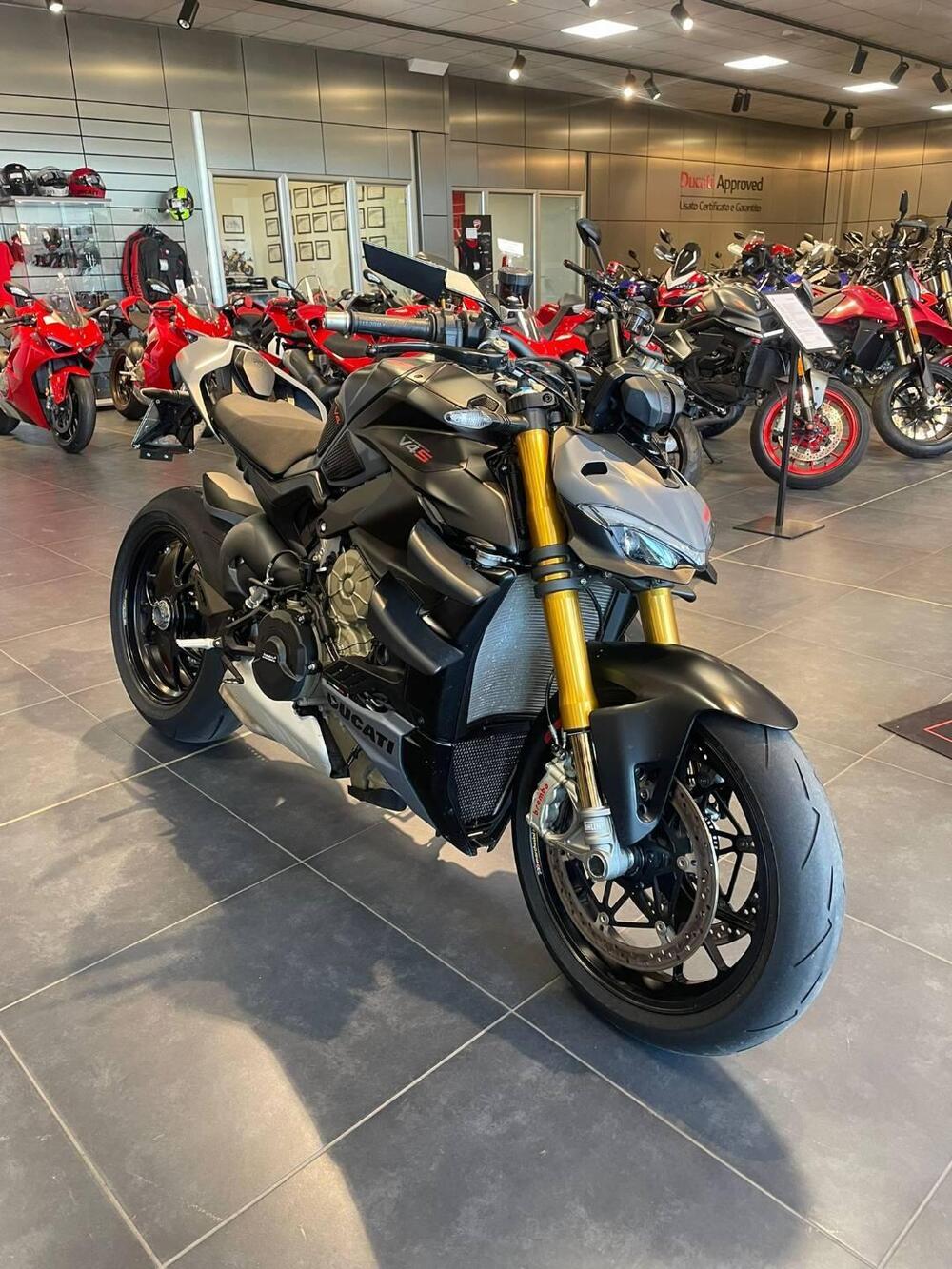 Ducati Streetfighter V4 S (2023 - 24) (3)