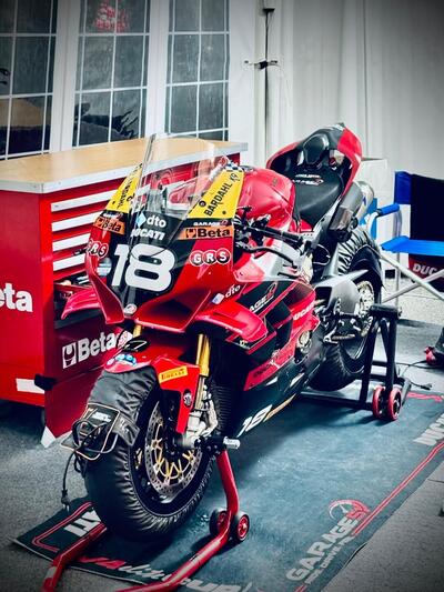 Ducati Panigale V4 S (2022 - 24) usata