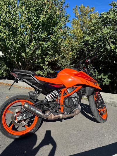 KTM 390 Duke (2024 - 26) usata