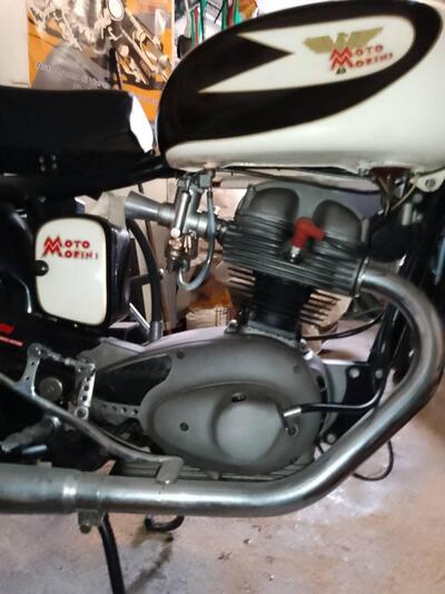 Morini settebello 175 d'epoca