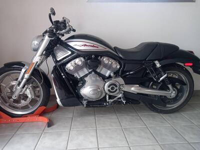 Harley-Davidson 1250 V-Rod (2008 - 12) - VRSCAW usata
