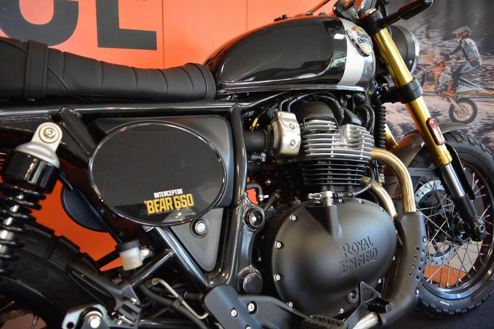 Royal Enfield Bear 650 (2025 - 26) (4)