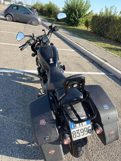 Harley-Davidson Nightster Special (2023 - 25) usata