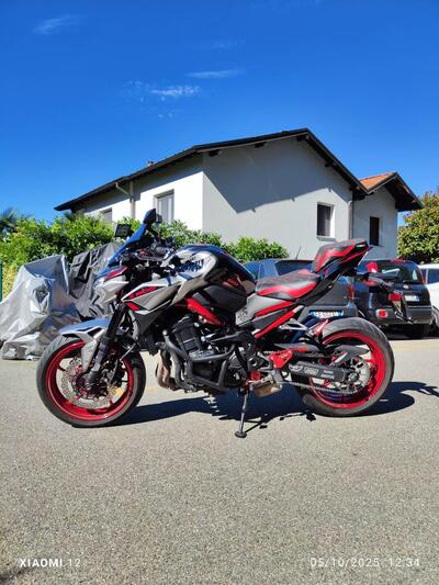 Kawasaki Z 900 (2021 - 24) usata