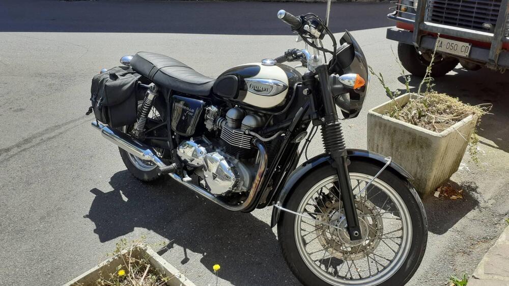 Triumph Bonneville T100 (2001 - 07) (3)