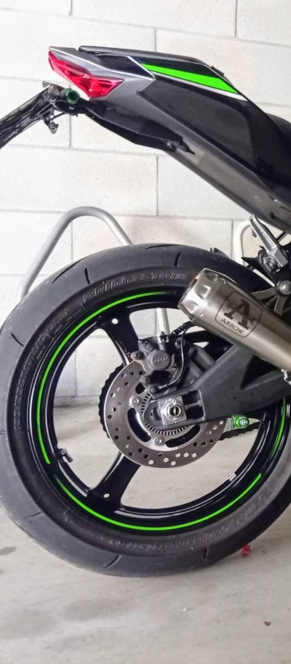 Kawasaki Ninja 1000 ZX-10R (2021 - 25) (8)