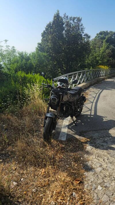 Benelli Leoncino 125 (2022 - 25) usata