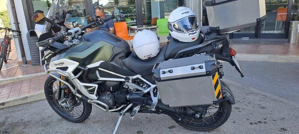 Triumph Tiger 1200 Rally Explorer (2022 - 23) (4)