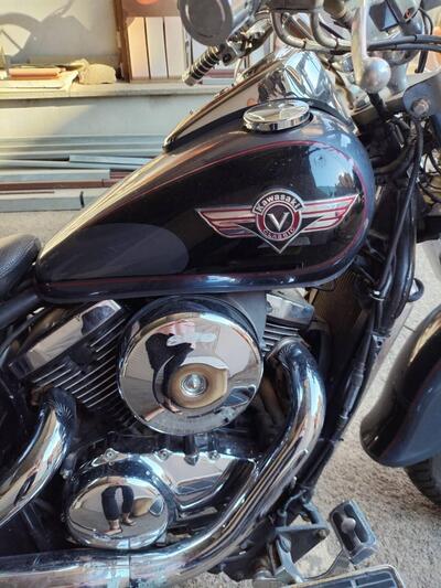 Kawasaki VN 800 Classic (2001 - 06) usata
