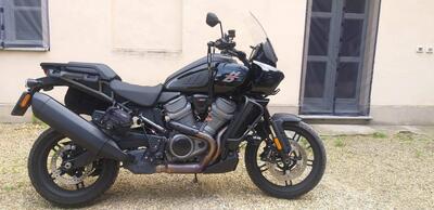 Harley-Davidson Pan America 1250 (2020 - 25) usata