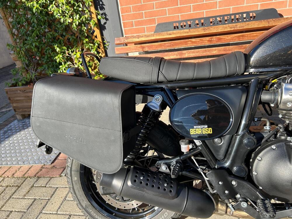 Royal Enfield Bear 650 (2025 - 26) (4)