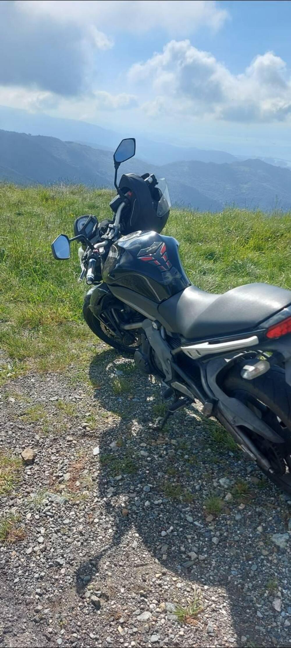 Kawasaki ER-6N (2009 - 11) (3)