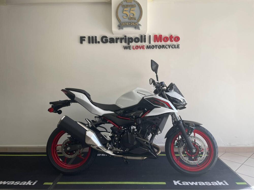 Kawasaki Z 500 SE (2024 - 26) (2)