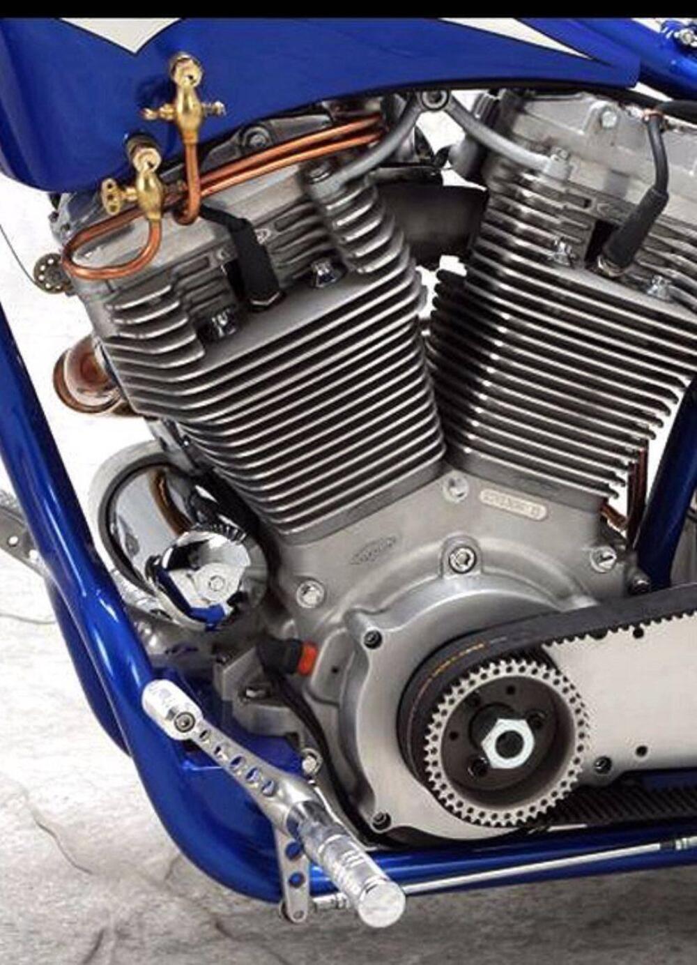 Harley-Davidson  WAKA BIKE CHOPPER SPECIAL (7)