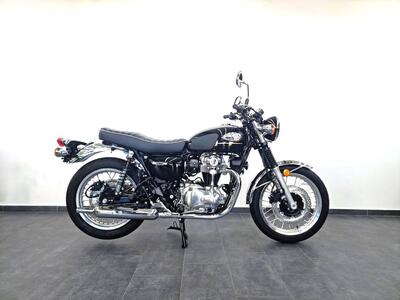 Kawasaki W 800 (2021 - 25) nuova
