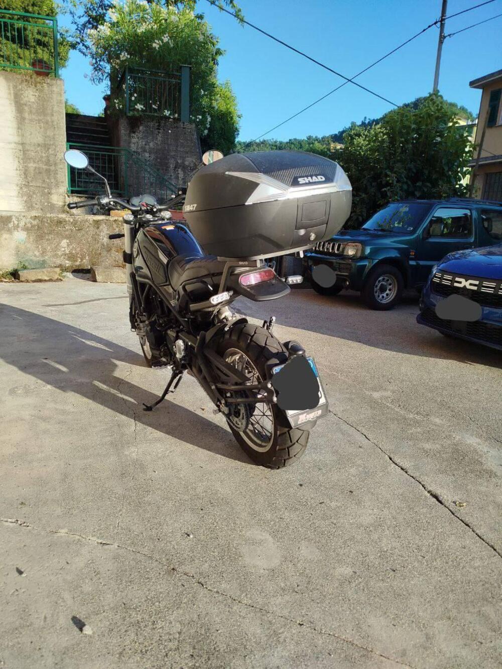 Benelli Leoncino 500 Trail (2021 - 26) (2)