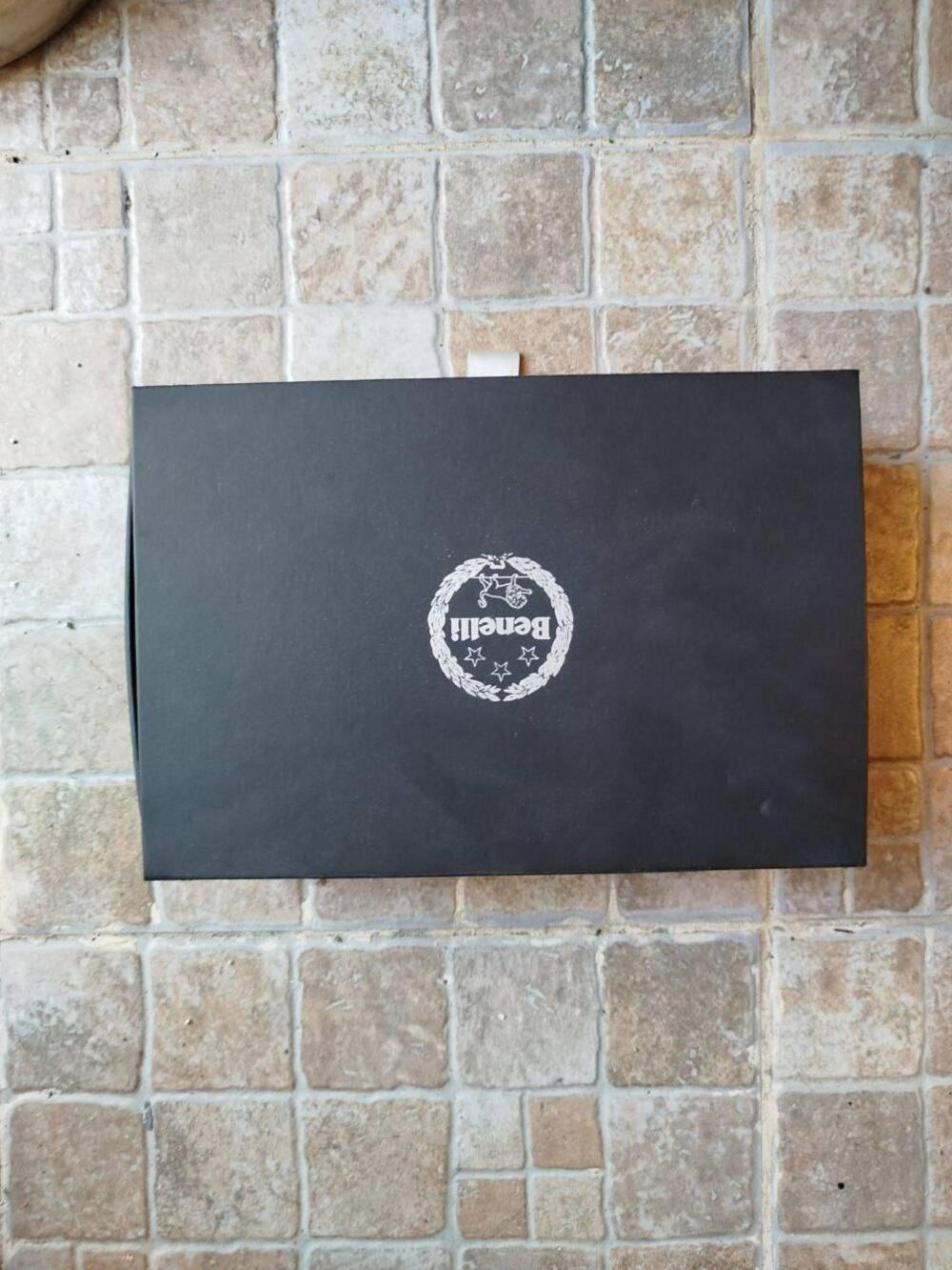 Benelli Leoncino 500 Trail (2021 - 26) (9)