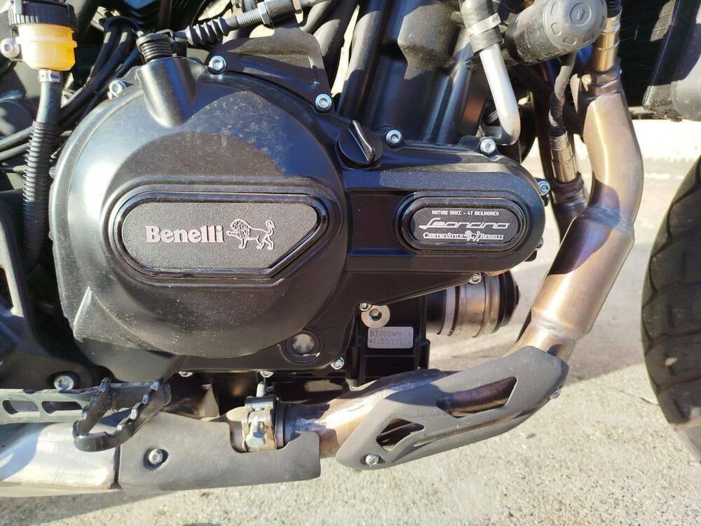 Benelli Leoncino 500 Trail (2021 - 26) (11)