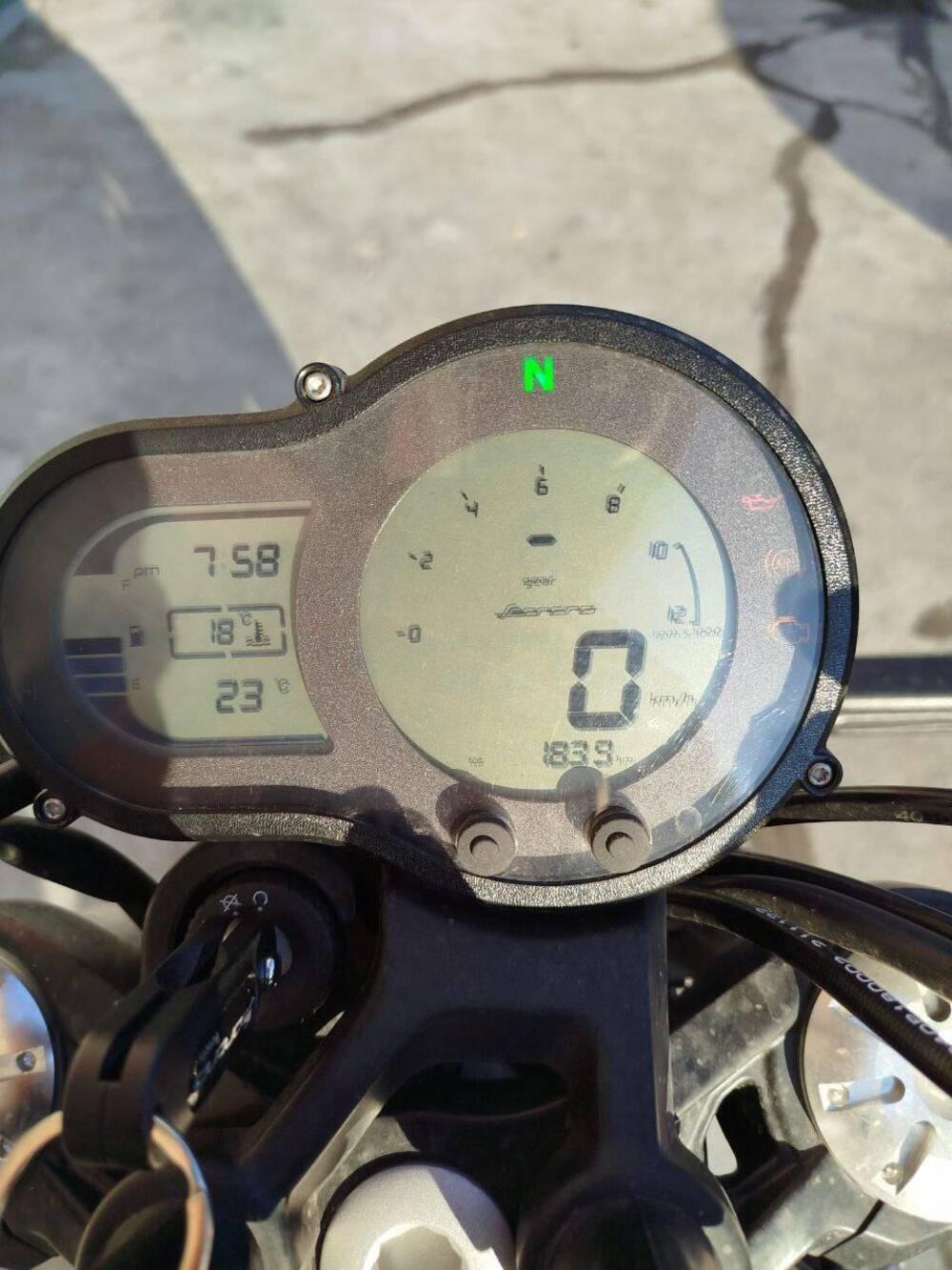 Benelli Leoncino 500 Trail (2021 - 26) (12)