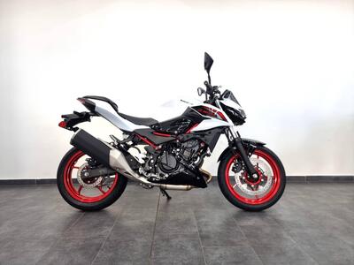 Kawasaki Z 500 SE (2024 - 26) nuova