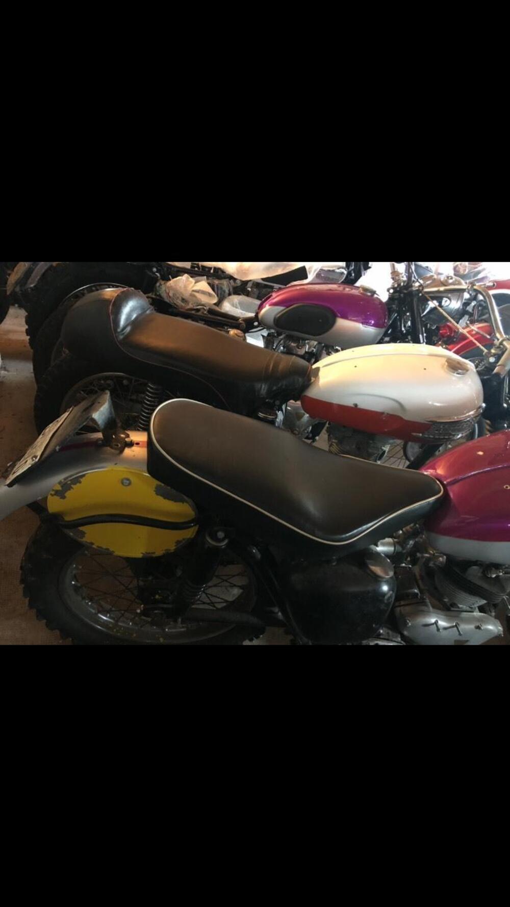 Triumph Bonneville T120  (3)