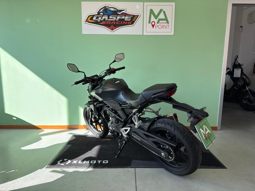 Honda CB 300 R (2022 - 26) (6)