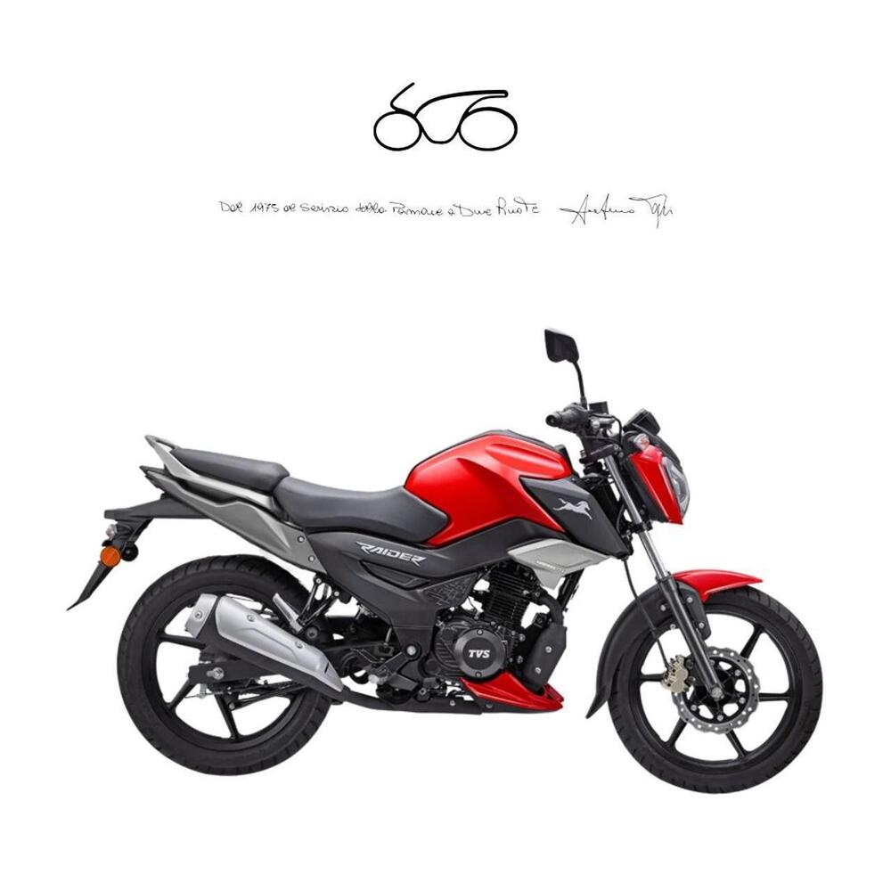 TVS Motor Raider 125 (2024 - 26)